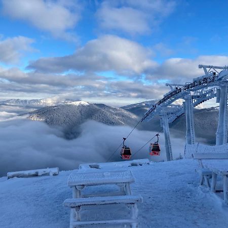 Ski View Studio - Near The Ski Slopes Azuga Bagian luar foto