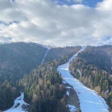 Ski View Studio - Near The Ski Slopes Azuga Bagian luar foto