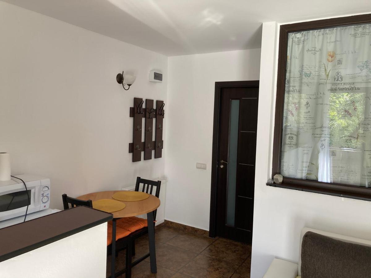 Ski View Studio - Near The Ski Slopes Azuga Bagian luar foto