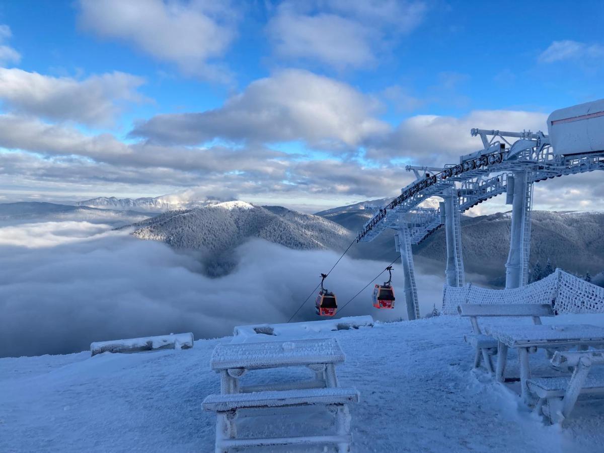 Ski View Studio - Near The Ski Slopes Azuga Bagian luar foto