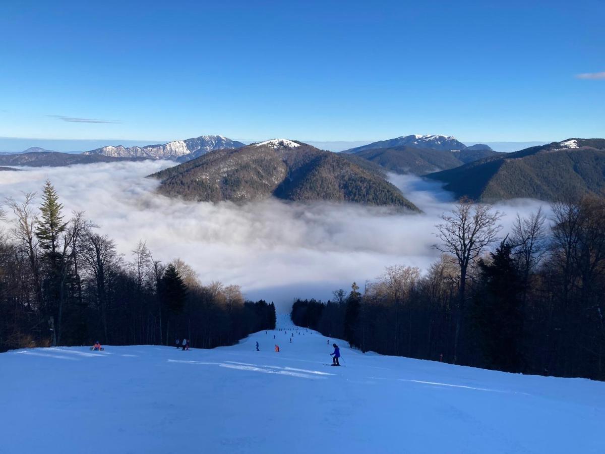 Ski View Studio - Near The Ski Slopes Azuga Bagian luar foto
