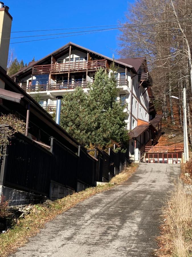 Ski View Studio - Near The Ski Slopes Azuga Bagian luar foto
