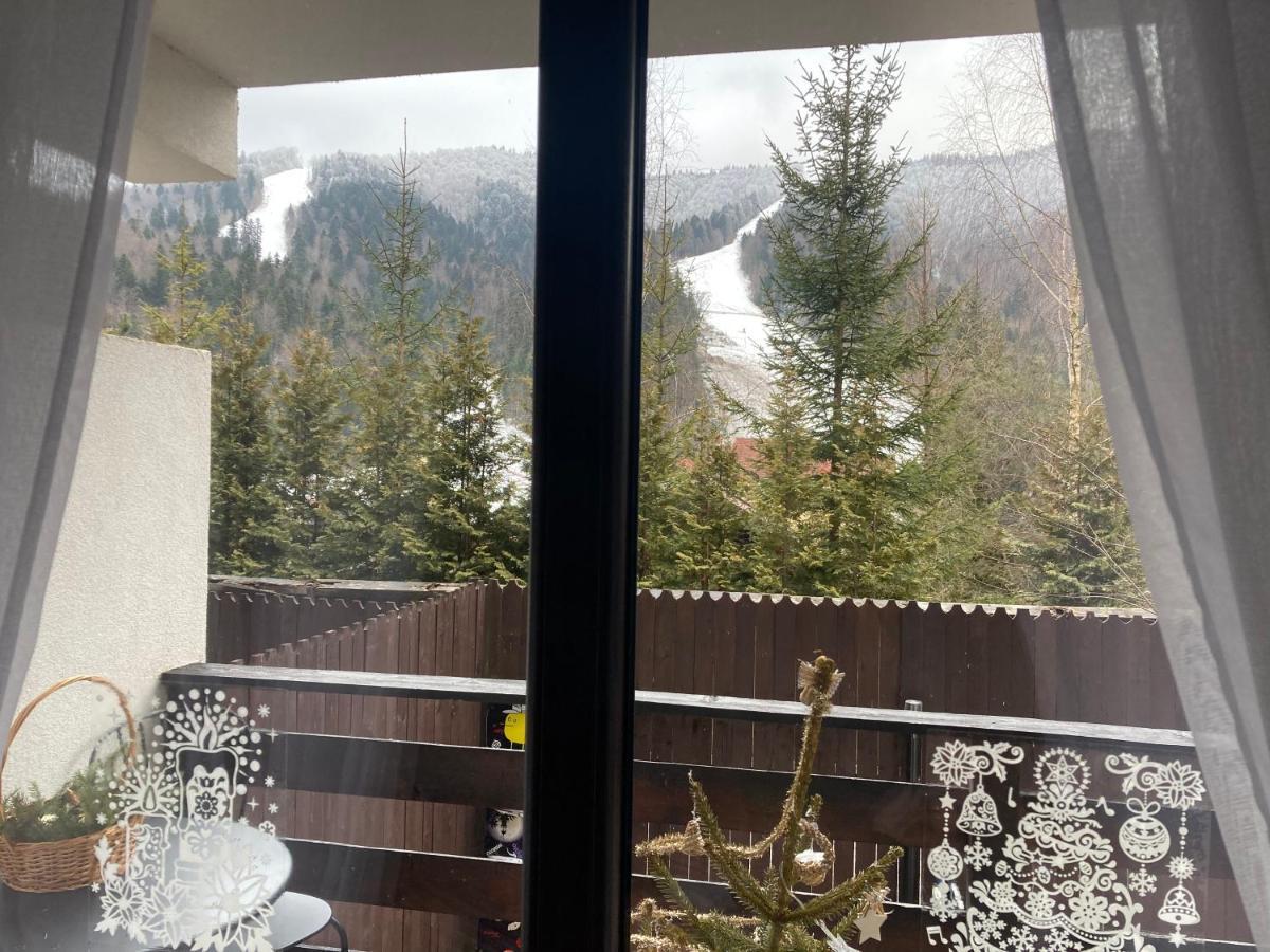 Ski View Studio - Near The Ski Slopes Azuga Bagian luar foto